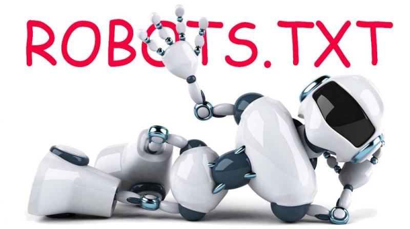 Что такое robots.txt и зачем он нужен в Новороссийске